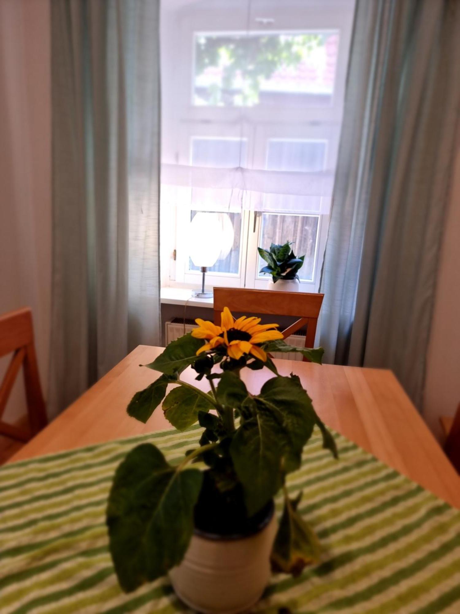 Ferienwohnung Boehm Segnitz Room photo